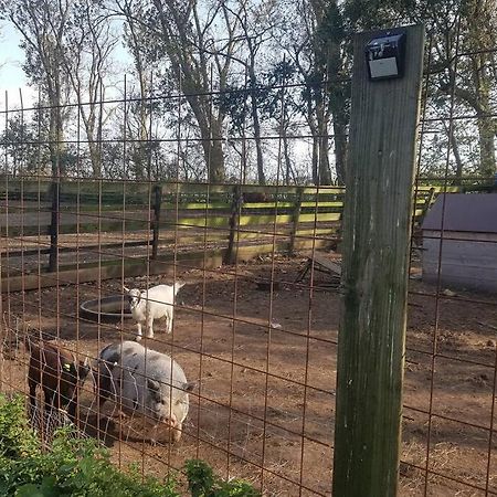 سينت مارتن B&B Hoeve Dijkstal Logeren Op De Boerderij المظهر الخارجي الصورة