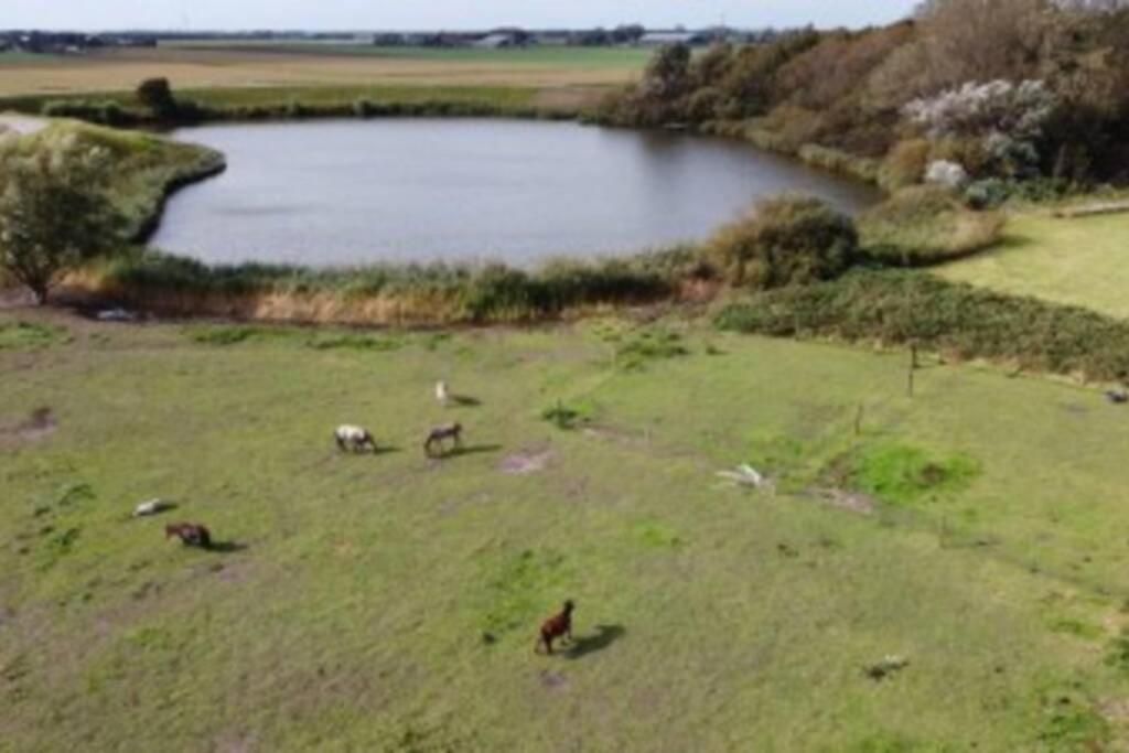 سينت مارتن B&B Hoeve Dijkstal Logeren Op De Boerderij المظهر الخارجي الصورة